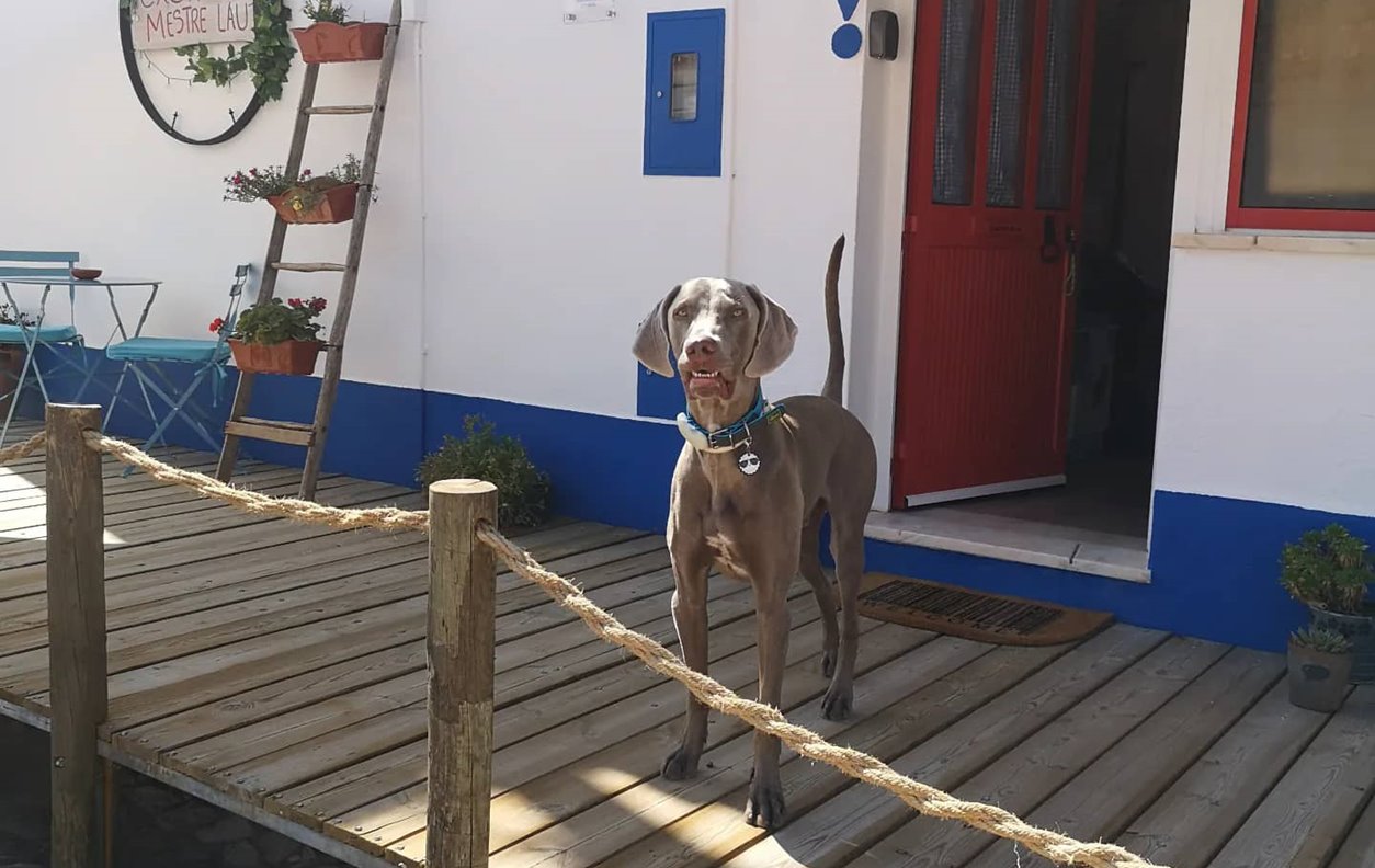 alojamento Holiday Home, Pet Friendly, with Alentejo Views, A/C and Wi-Fi - 20 minutes from Azenhas d'el rei River Beach - 13413