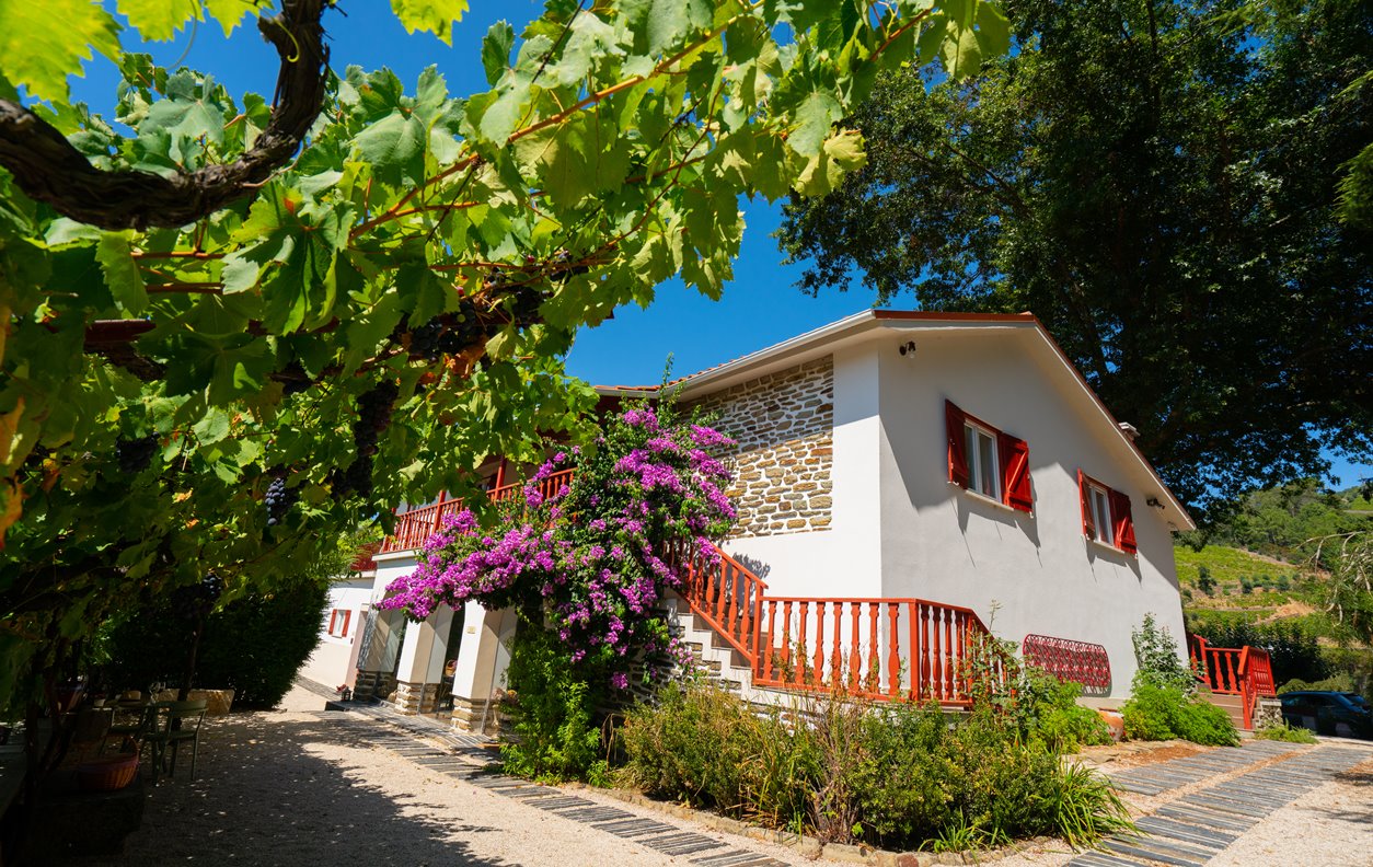 Holiday farm with private pool, BBQ and WI-FI - 13545